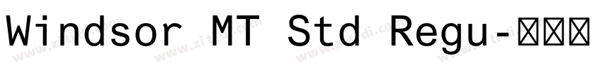 Windsor MT Std Regu字体转换